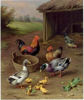 unknow artist poultry  147 oil painting image
